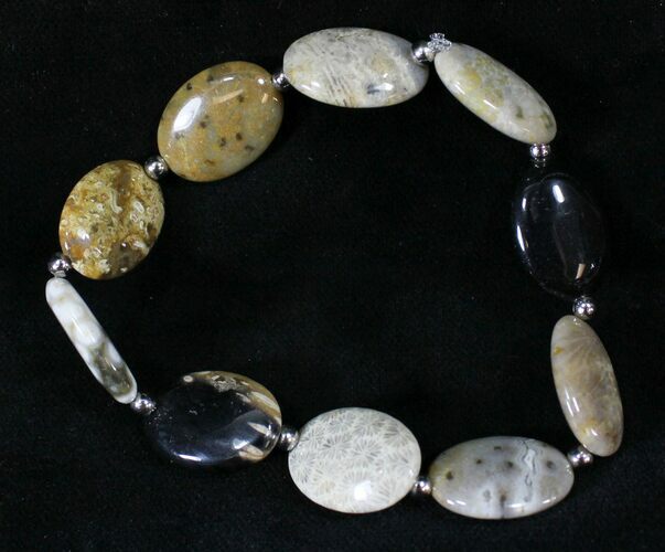 Polished Petrified Palmwood & Fossil Coral Bracelet #24669